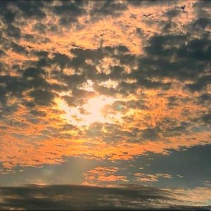 Meet your Posher, Charles